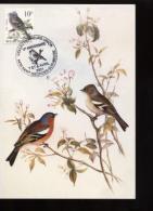 Belgie Buzin Vogels Birds 2351 10fr Maximumkaart RR 15/12/1990 Roeselare RRR Carte Gould - 1991-2000