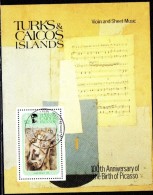 BF153 -  TURKS CAICOS , BF N. 32 Usato . Picasso - Turks- En Caicoseilanden