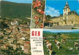 CPM - 01 - GEX - Entre Les Monts Jura Et Le Lac Leman - Gex