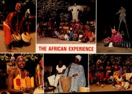 THE GAMBIA...THE AFRICAN EXPERIENCE....6 VUES....CPM ANIMEE - Gambie