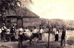 BARBADOS / NATIVE HUT / CIRC 1925 - Barbados (Barbuda)