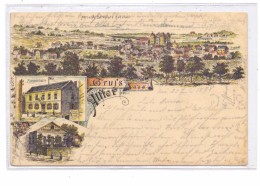 5305 ALFTER, Lithographie 1898, Kaiserhalle, Panorama, Kl. Knick - Siegburg