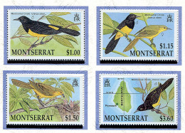 Montserrat ** N° 784 à 787 - Oiseaux : Le Loriot - - Montserrat