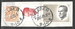 Ocb Nr Boudewijn Baudouin Velghe Centrale Stempel Avelgem - 1981-1990 Velghe