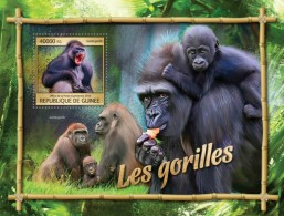 Guinea. 2016 Gorillas. (311b) - Gorilles