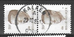 Ocb Nr 2126 Boudewijn Baudouin Velghe Centrale Stempel Kalken - 1981-1990 Velghe