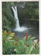 Rainbow Falls Near Hilo , Home Of The Mythical Goddess Hina  - ( Hawaii - USA) - Hilo