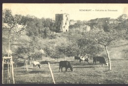 Cpa Beaumont   Vaches - Beaumont