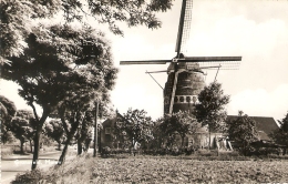 Gronsveld : Molen - Eijsden