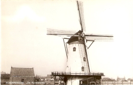 Scherpenisse : De Korenmolen ( Molen ) - Tholen