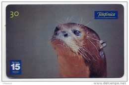 Loutre Géante Ou Loup De La Rivière Animal  Télécarte Phonecard   R408 - Brasilien