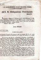 1855 BELLUNO -  RILASCIO CONGEDI - Décrets & Lois