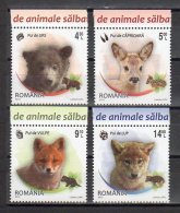 Romania 2012 / Wild Cubs / Set 4 Val - Unused Stamps