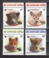 Romania 2012 / Wild Cubs / Set 4 Val - Ungebraucht