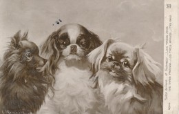 CPA Chiens Tableau De A. Thomassi - Les Trois Amis - Dogs