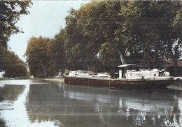 SALLELES-D'UDE   65   LE CANAL DU MIDI  CPSM - Salleles D'Aude