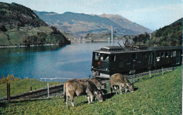 LUNGERN → Elektrische Zugskomposition Unterwegs Am Lungerersee Mit Blich Auf Bürglen Anno 1955 - Lungern