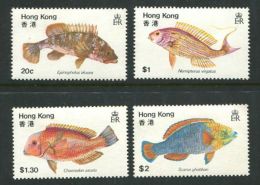 177 HONG KONG 1981 - Yvert 362/65 - Poisson - Neuf ** (MNH) Sans Charniere - Ongebruikt