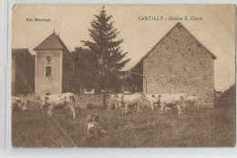 Saone Et Loire - 71 - Santilly Maison E. Carré Ferme Vaches Ed Mondange - Autres & Non Classés
