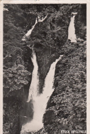 CPA AMBLESIDE- STOCK GHYLL FALLS, WATERFALL - Ambleside