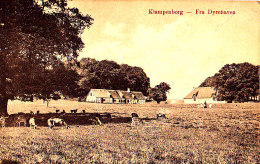 KLAMPENBORG / FRA DYREHAVEN / CIRC 1920 / - Danemark