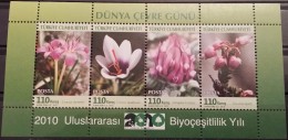 Turkey, 2010, Mi: Block 72 (MNH) - Ungebraucht