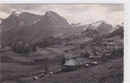 Les Sciernes D´Albeuve. Pâturage, Chalet, Troupeau - Albeuve