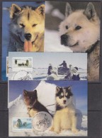 AAT 1994 The Last Huskies 4v 4 Maxicards  (32745) - Tarjetas – Máxima
