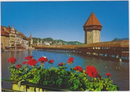 SUISSE,SWITZERLAND,SVIZZERA,HELVETIA,SWISS,SCHWEIZ ,LUCERNE,LUZERN,VUE BELLE - Lucerna