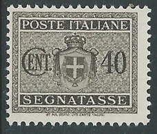 1945 LUOGOTENENZA SEGNATASSE SENZA FILIGRANA 40 CENT MNH ** - CZ15-7 - Postage Due