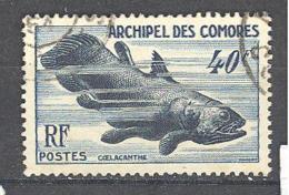 Comores: Yvert N° 13; Coelacanthe; Poisson - Used Stamps