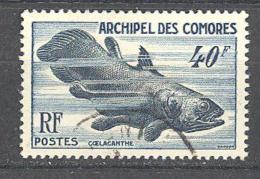 Comores: Yvert N° 13; Coelacanthe; Poisson - Used Stamps