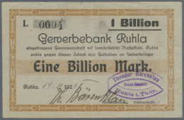 Zusammenstellung Von 115 Notgeldscheinen Der Epochen Großnotgeld Und Inflation (ohne Kleingeld Und... - [11] Local Banknote Issues