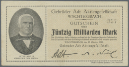 Zusammenstellung Von 211 Notgeldscheinen Der Epochen Großnotgeld Und Inflation (ohne Kleingeld Und... - [11] Local Banknote Issues