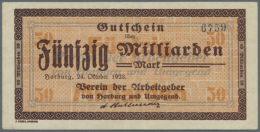 Zusammenstellung Von 73 Notgeldscheinen Der Hochinflation (ohne Kleingeld Und Serienscheine) Aus Altona,... - [11] Local Banknote Issues