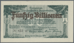 Freudenstadt Und Baiersbronn, Stadtgemeinde Und Gemeinde, 50 Billionen Mark, 10.11.1923, Links Oben 1 Cm Eckknick,... - [11] Local Banknote Issues