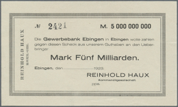 Ebingen, Reinhold Haux, 5 Mrd. Mark, Mit KN, Ohne Datum Und Unterschrift, Scheck Auf Gewerbebank Ebingen,... - [11] Local Banknote Issues