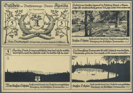 Apolda, Verschönerungsverein, 4 X 5 Mark, O. D., Spendenscheine, Erh. I (D) - [11] Local Banknote Issues