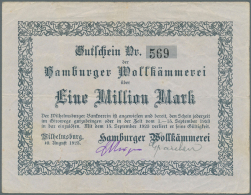 Wilhelmsburg, Hamburger Wollkämmerei, 1 Mio. Mark, 10.8.1923; 2 Mio. Mark, 15.8.1923, Beide Erh. III (D) - [11] Local Banknote Issues
