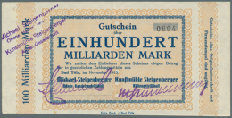 Bad Tölz, Michael Steigenberger OHG, 100 Mrd., 500 Mrd. Mark, November 1923, Erh. II, 2 Scheine (D) - [11] Local Banknote Issues