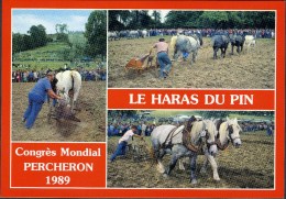 LE HARAS DU PIN - Concours De Labours - Exmes