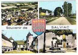 SOUVENIR DE SALVIAC MULTIVUES    ***   A   SAISIR **** - Salviac