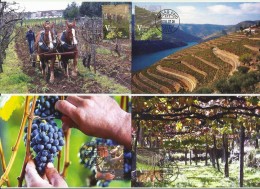 Portugal Vieilles Vignes Vin Serie Sur 4 Cartes Maximum 2016 Old Wineyards Wine Set On 4 Maxicards 2016 - Vini E Alcolici