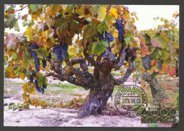 Portugal Vieilles Vignes Vin Carte Maximum Avec Timbre Du Bloc 2016 Old Wineyards Wine Maxicard With Stamp From S/s 2016 - Vini E Alcolici