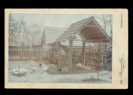 Older Woman In The Yard With Goose / Cardboard Dimension 10.5x16.5 Cm / 2 Scans - Alte (vor 1900)