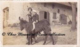 ANE DE NORMANDIE - PETIT GARCON MONTANT A LA FERME - PHOTO 11.5 X 7 CM - Autres & Non Classés