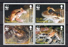 MONTSERRAT - GRENOUILLES - FROGS - WWF - Setenant - 2006 - - Montserrat