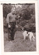 CHIEN DANS LA FORET - PHOTO 12.5 X 9 CM - Autres & Non Classés