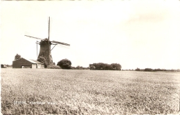 Deurne : Vlierdense Molen - Deurne