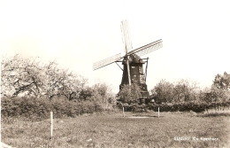 Gemert : De Veenboer --  Molen - Gemert